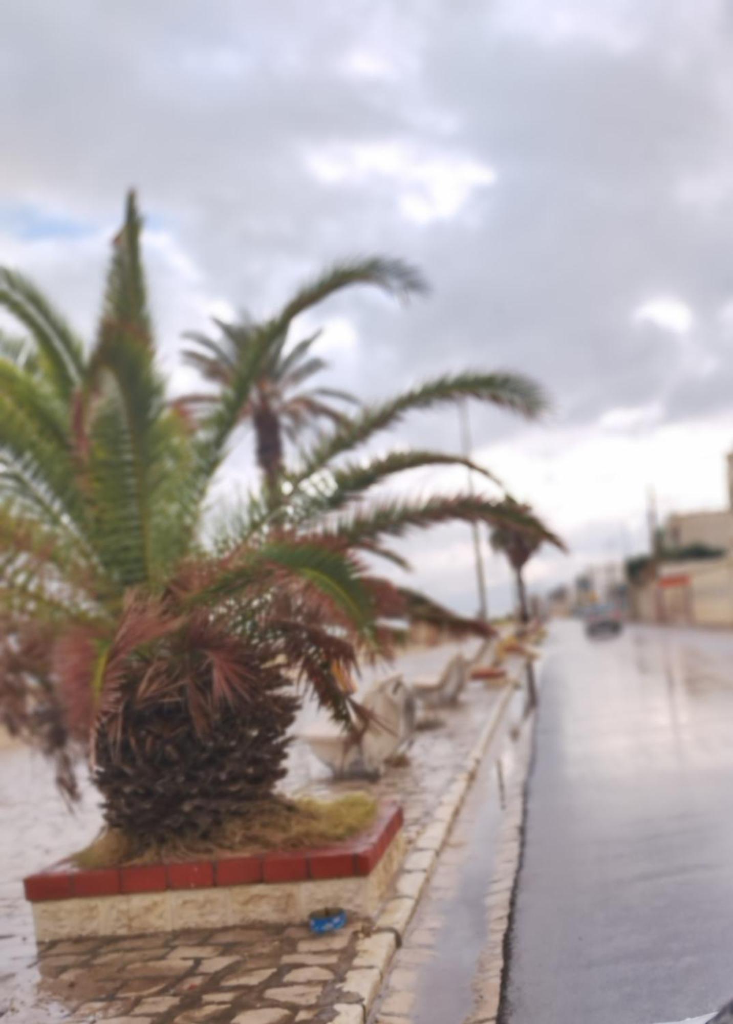 Appartement Hammam-Lif Les Cyclamens Tunisie Afrique Exterior photo